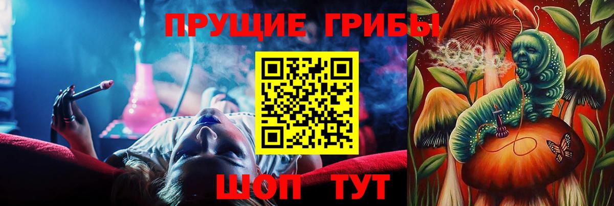 Псилоцибиновые грибы GOLDEN TEACHER  Галлюциногенные грибы мухоморы  Добрянка  купить закладку  Вход с VPN 